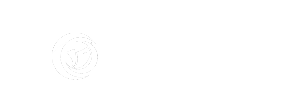 致帆资本